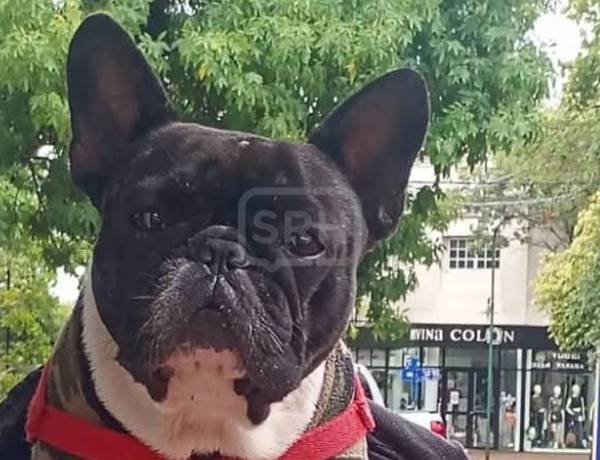SAN ROQUE | RESCATE DE "REICHI": LA POLICÍA ACLARÓ EL CASO QUE SE HIZO VIRAL